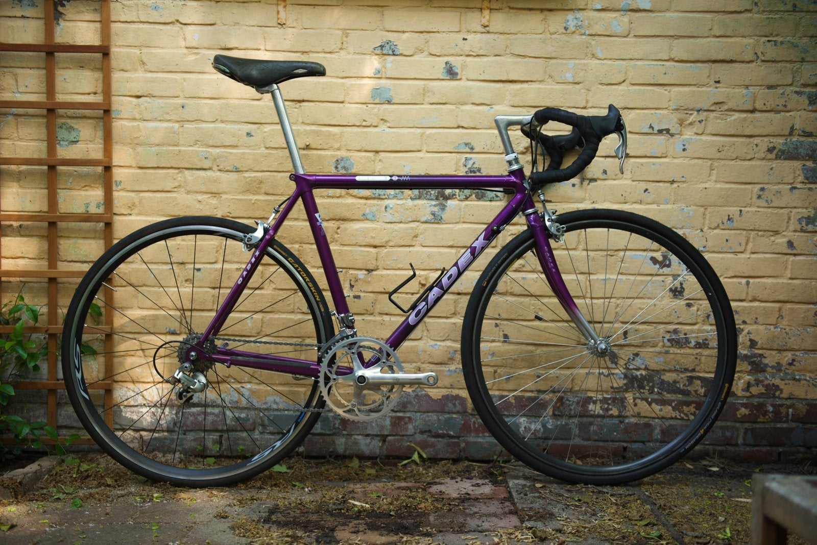 Cadex CFR-3 – Campagnolo Record/Chorus/Athena (Carbon frame), 53 tot 57 cm, Ophalen, Zo goed als nieuw, Overige merken