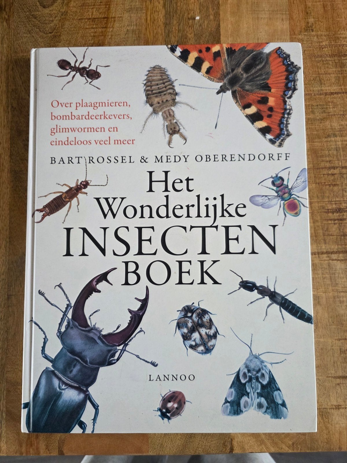 Het Wonderlijke Insectenboek edy, Ophalen of Verzenden, Zo goed als nieuw, Natuur algemeen, Bart Rossel & Medy Oberendorff