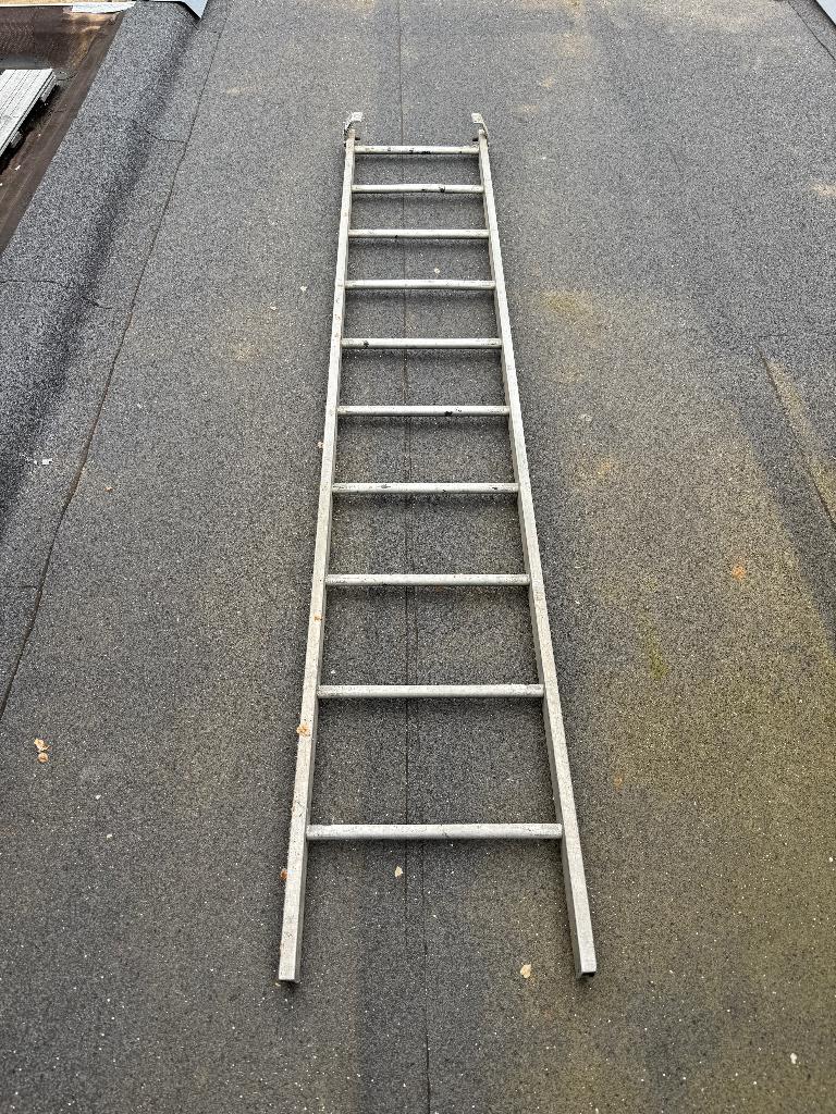 ALGA ladder 255 cm 10 sporten, Doe-het-zelf en Verbouw, Ladders en Trappen, Ophalen, Gebruikt, Ladder, 2 tot 4 meter