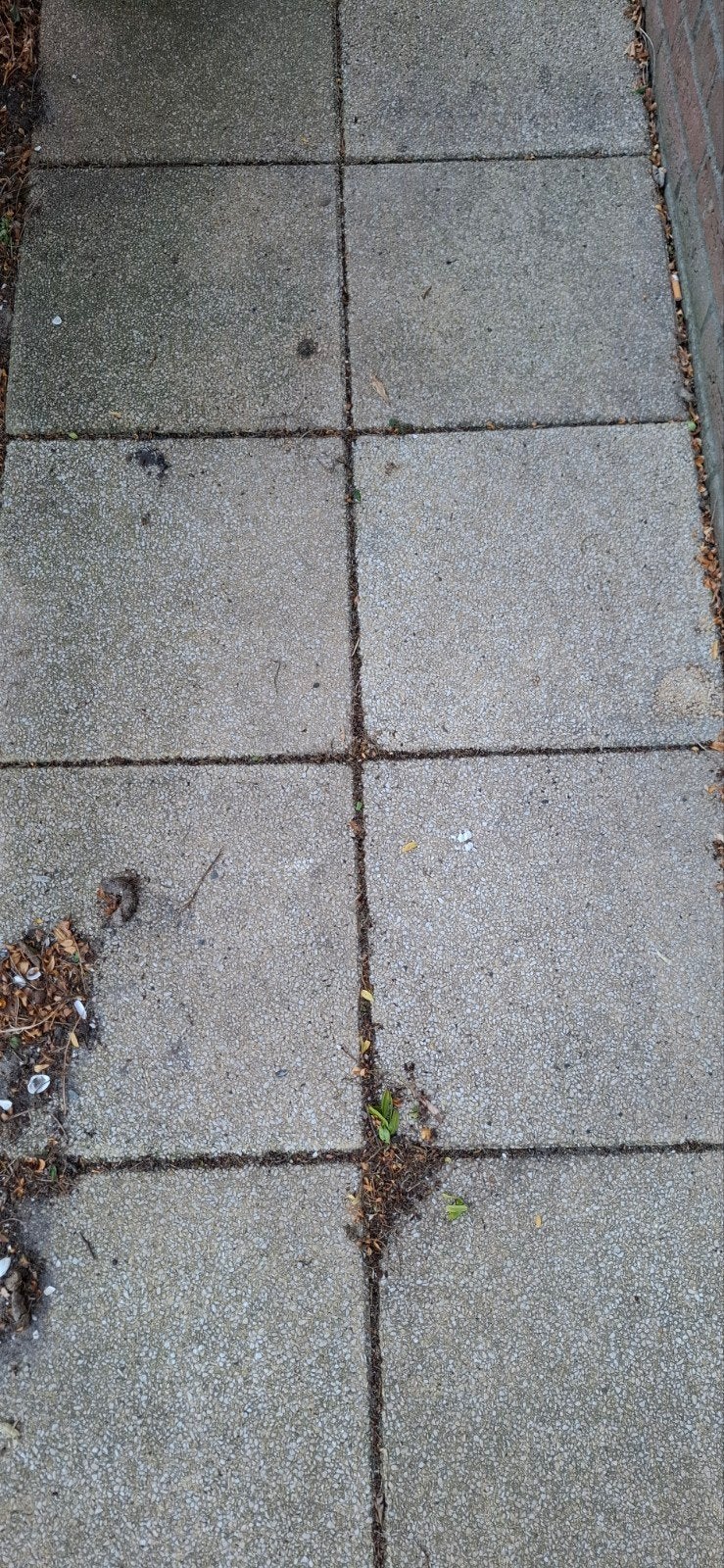 Gebruikte betontegels - GRATIS 31 stuks, Ophalen, Gebruikt, Overige materialen, Minder dan 5 m²