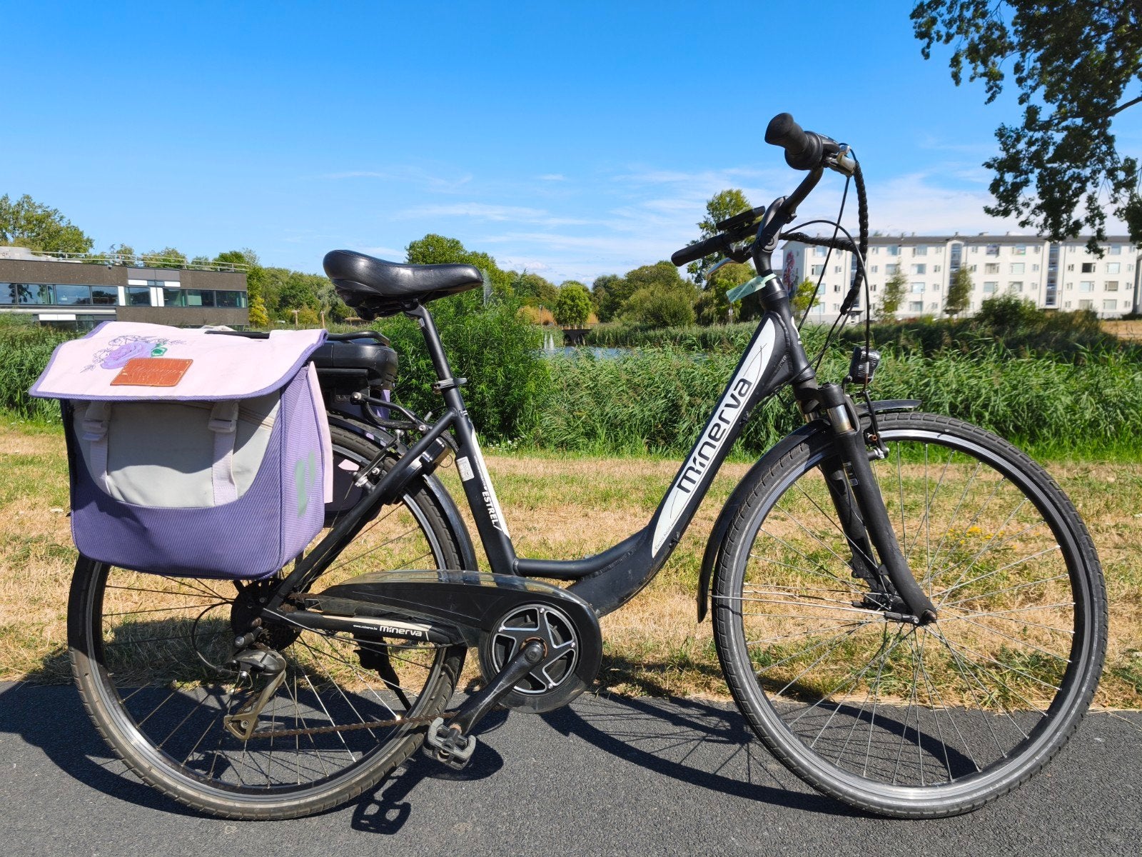 elektrische damesfiets, 7 verschillende, 28 inch, Ophalen of Verzenden