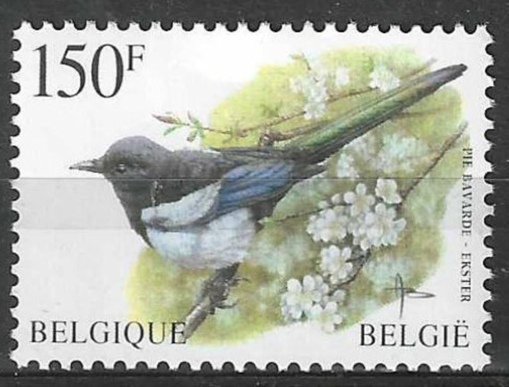 Belgie 1997 - Yvert 2696 /OBP 2697 - Buzin - Ekster (PF), Verzenden, Postfris, Voertuigen