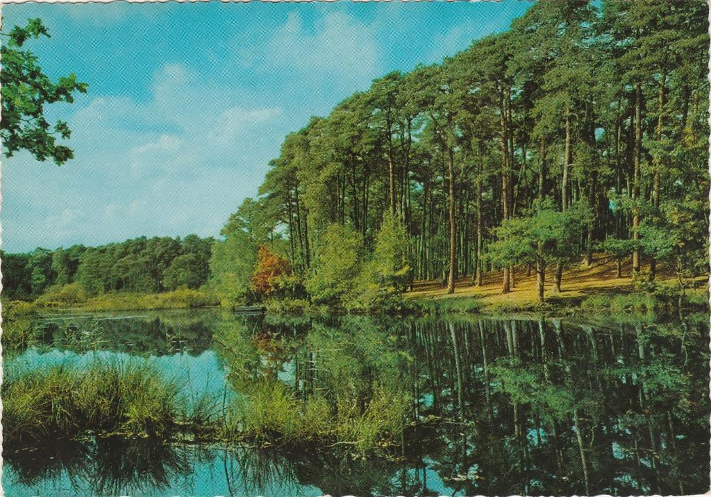 OISTERWIJK Ven Uitg. Camping De Reebok, Verzenden, 1960 tot 1980, Gelopen, Noord-Brabant