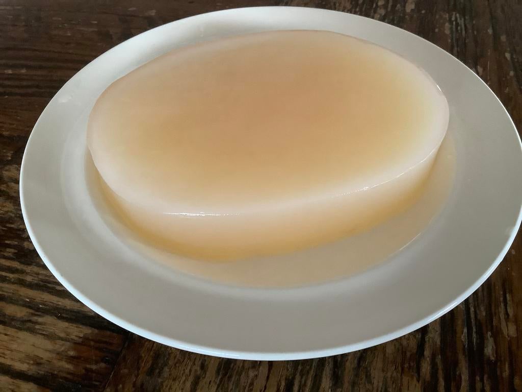 Jun kombucha scoby en startersdrank, Ophalen of Verzenden