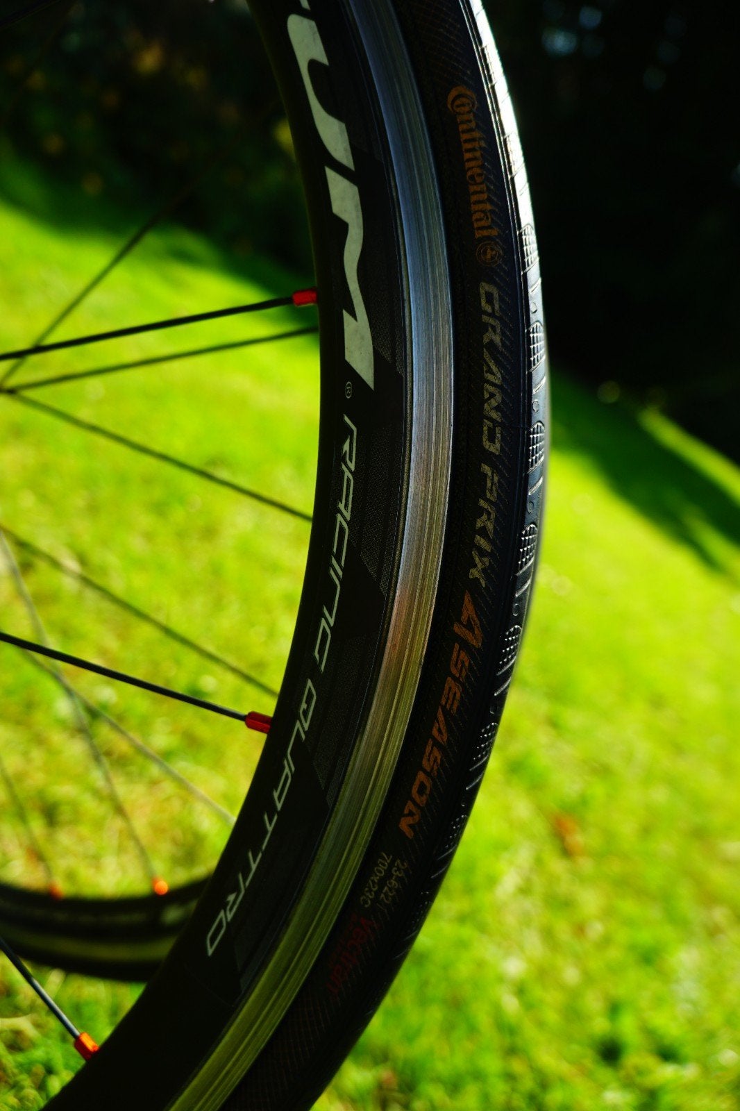 Band: Continental gp 4 seasons 23c, Ophalen of Verzenden, Nieuw, Aluminium, 24 inch of meer