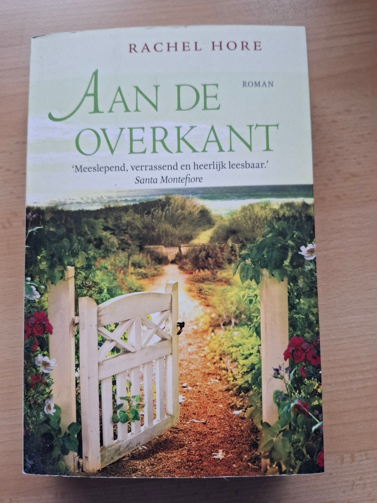 Rachel Hore - Aan de overkant, Boeken, Ophalen of Verzenden, Zo goed als nieuw, Rachel Hore