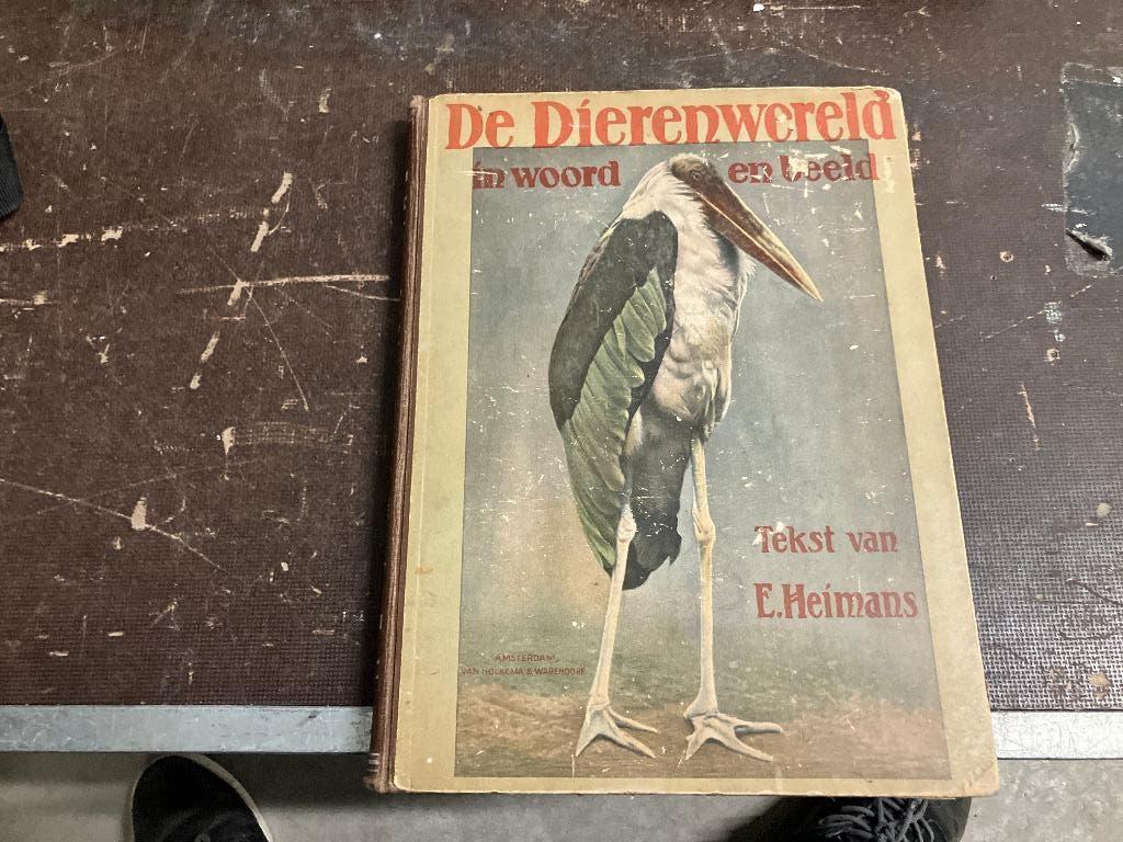 Heimans dieren Artis aap leeuw olifant roofvogel konijn, Antiek en Kunst, Ophalen of Verzenden