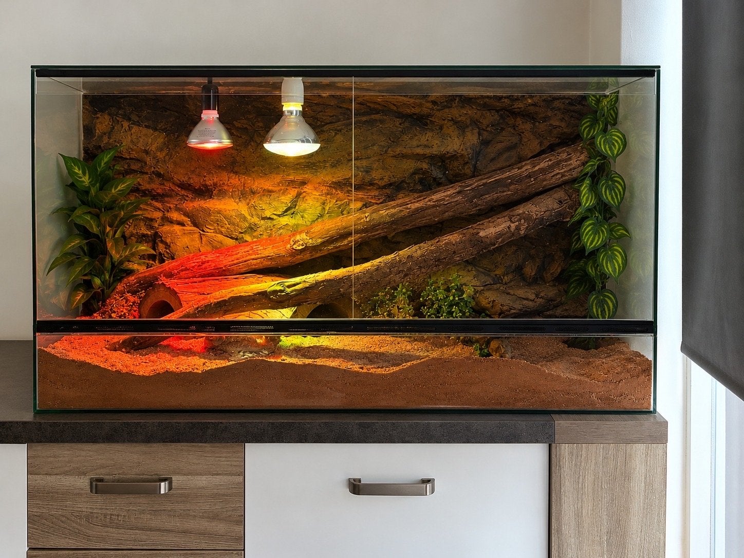 Baardagaam incl. compleet terrarium 120 x 60, Ophalen, Zo goed als nieuw