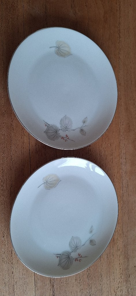 2 schoteltjes van Arzberg, Verzenden