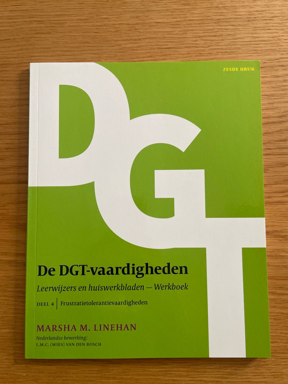 De DGT-vaardigheden Werkboek Deel 4 - Frustratietolerantie, Ophalen of Verzenden, Gamma, Nieuw, HBO