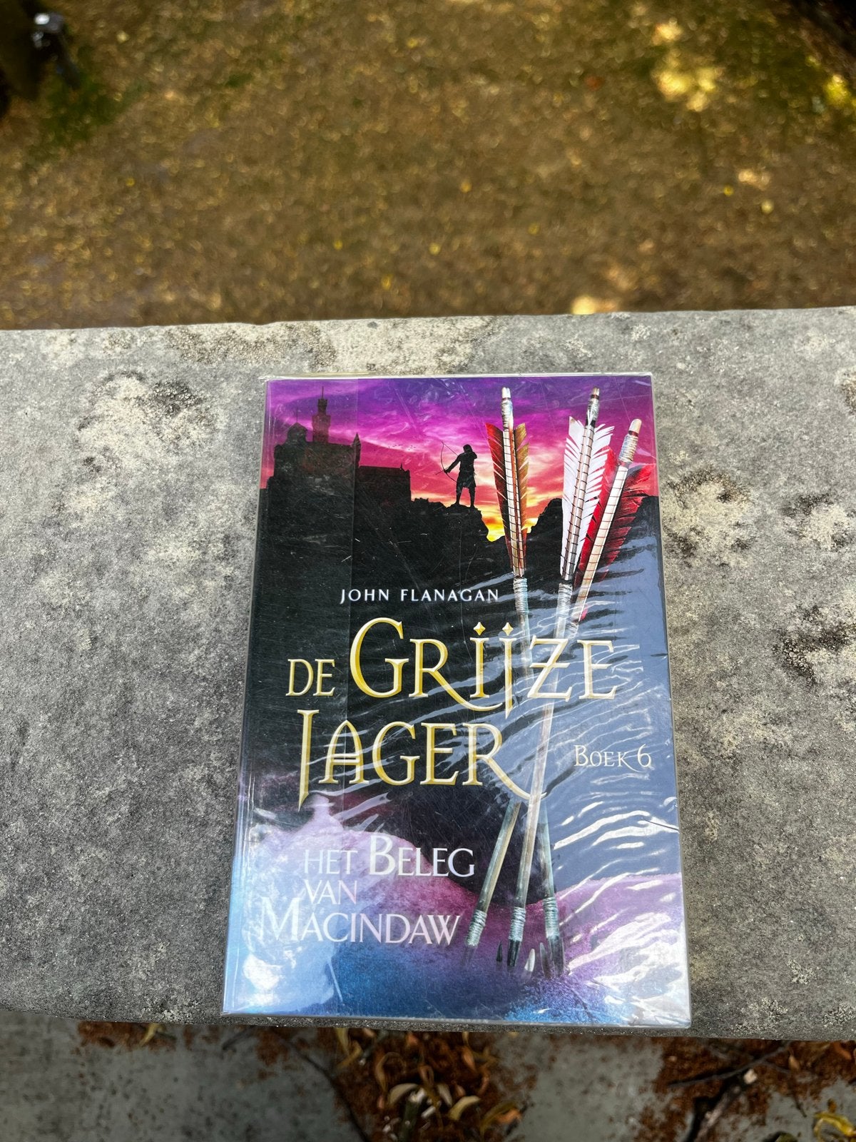 De Grijze Jager Boek 6: Het Beleg van Macindaw - John Flanag, Boeken, Ophalen of Verzenden, Nieuw