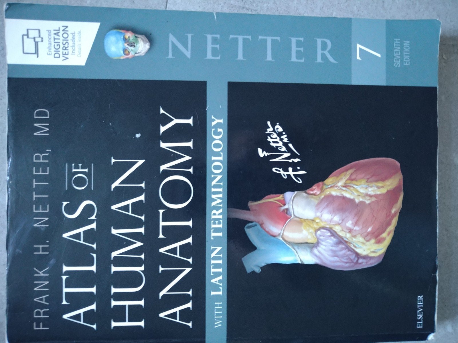 Atlas of Human Anatomy , with Latin Terminology, Boeken, Gelezen, Frank H Netter, Ophalen of Verzenden, WO