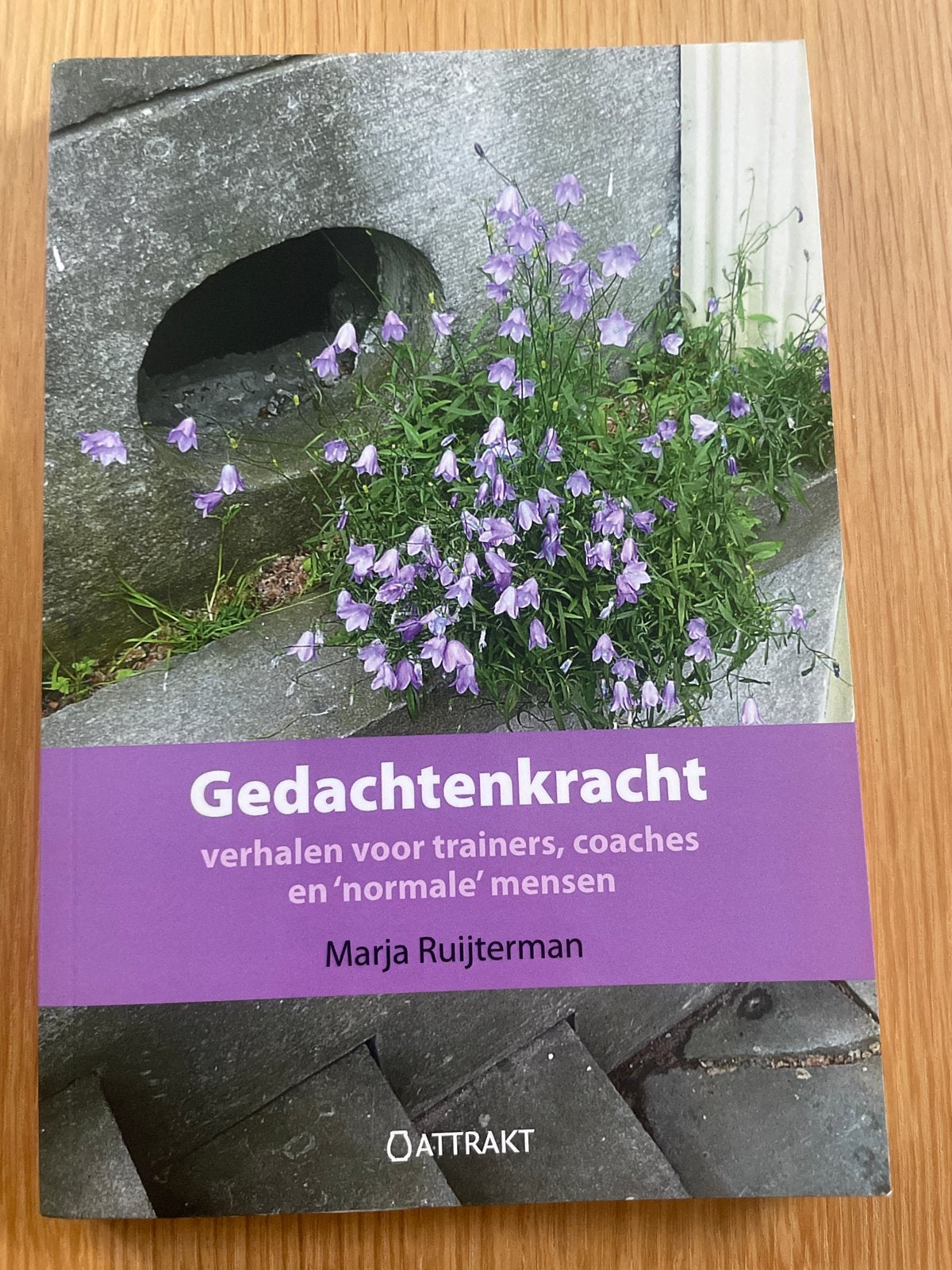 Gedachtenkracht - Marja Ruijterman (Zo goed als nieuw), Boeken, Verzenden, Zo goed als nieuw