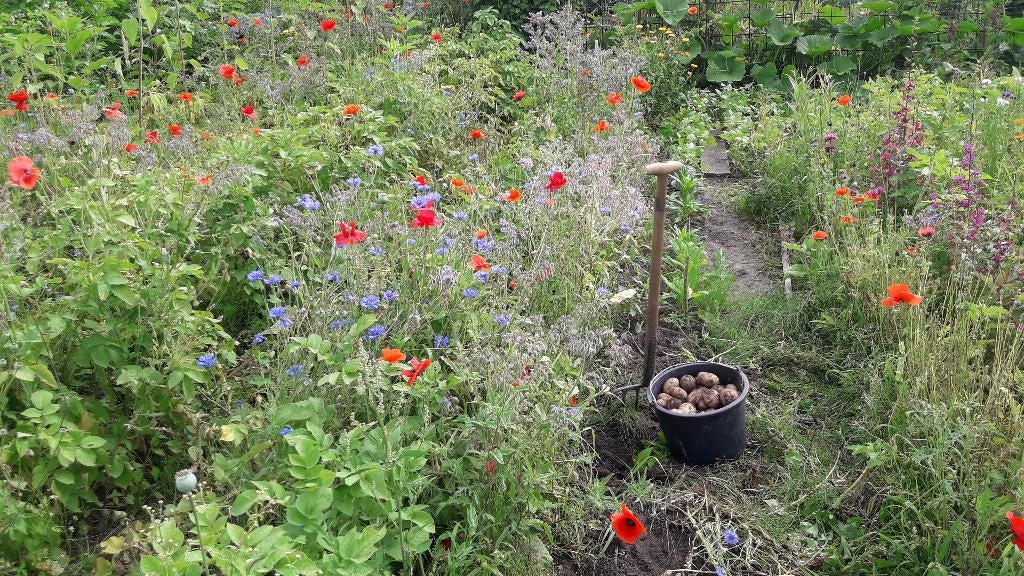 moestuin medewerkster gevraagd