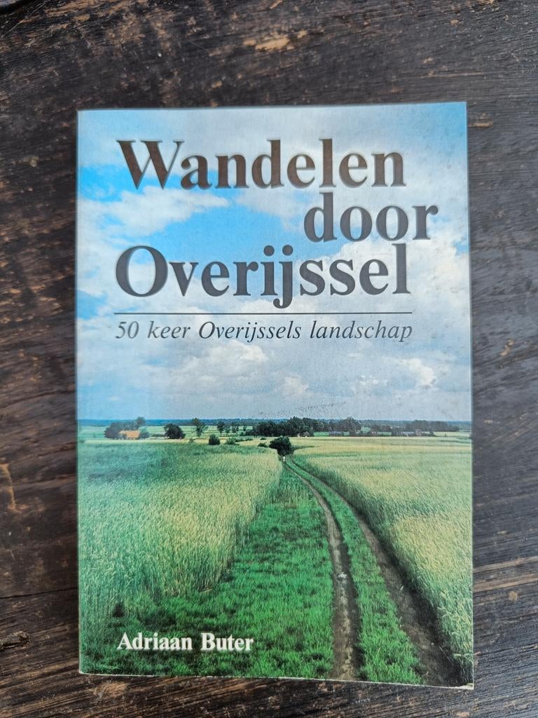 Wandelen door Overijssel - Adriaan Buter (1982), Boeken, Adriaan Buter, Fiets- of Wandelgids, Europa, Ophalen of Verzenden