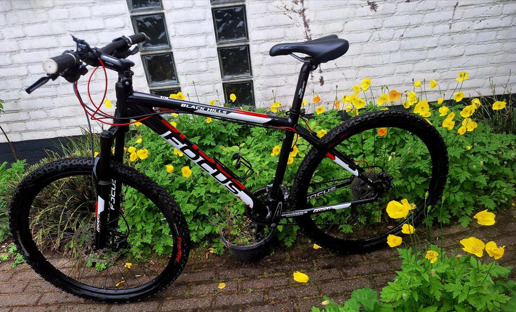 Focus Black Hills Mountainbike - Zo goed als nieuw, Fietsen en Brommers, Hardtail, Heren, Zo goed als nieuw, Schijfrem