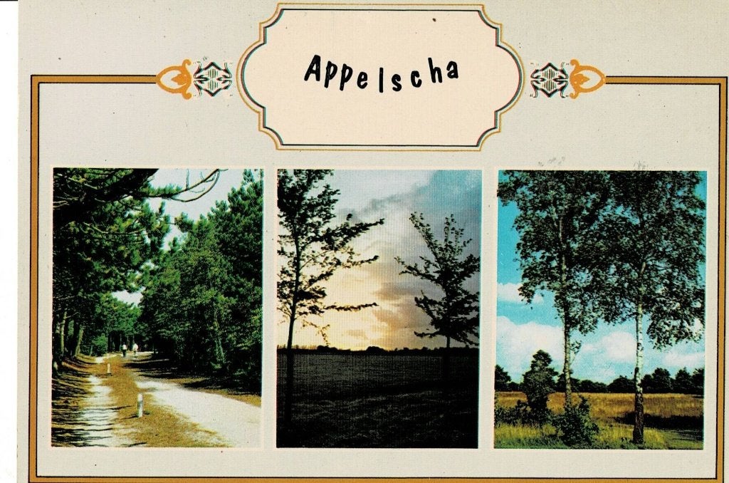 Appelscha, Ophalen of Verzenden, Gelopen, Friesland