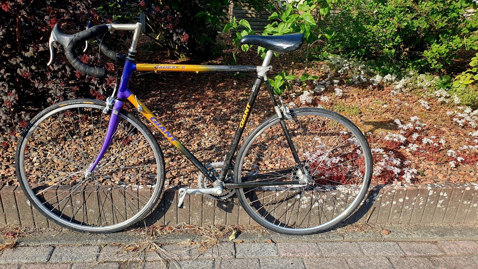 Giant Cadex 2 cfr-2 Carbon Racefiets fr 60 carbon
De Giant C, Ophalen, Gebruikt, Meer dan 20 versnellingen, Giant