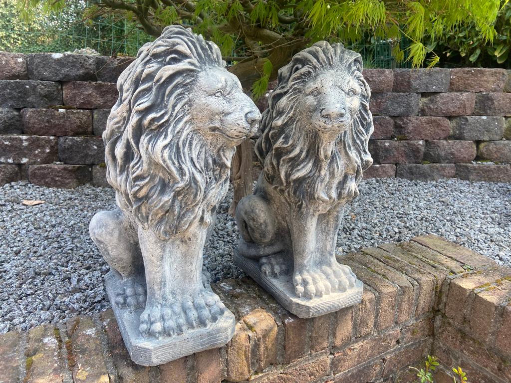 2 leeuwen, Tuin en Terras, Tuinbeelden, Ophalen, Nieuw, Beton, Dierenbeeld
