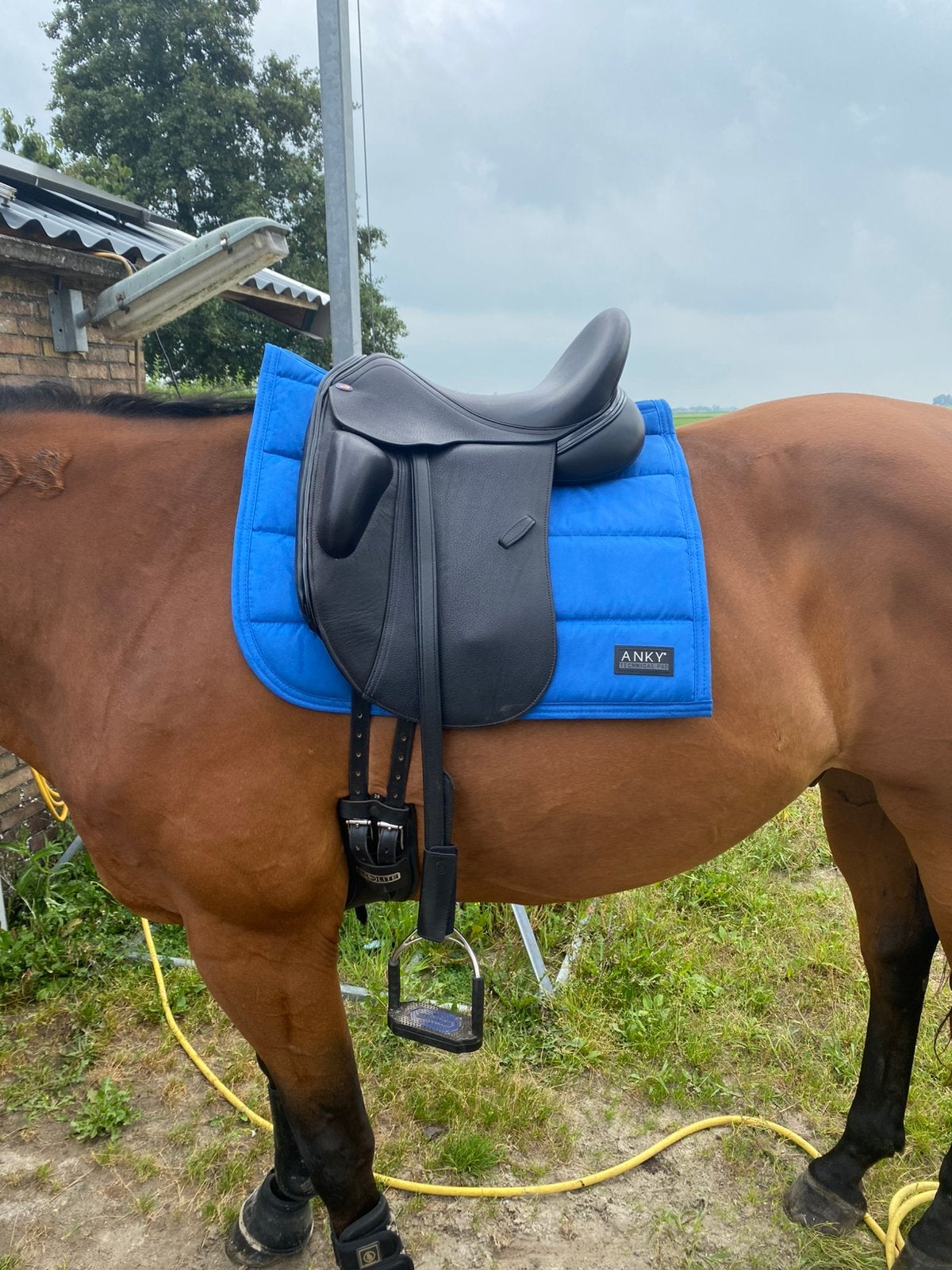 Mooi donkerblauw anky dressuur dekje maat full, Dieren en Toebehoren, Paarden en Pony's | Dekens en Dekjes, Ophalen of Verzenden