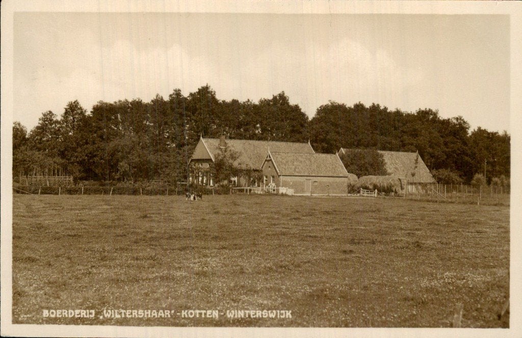 Winterswijk - Boerderij - Wiltershaar Kotten, Ophalen of Verzenden, 1920 tot 1940, Gelopen, Gelderland