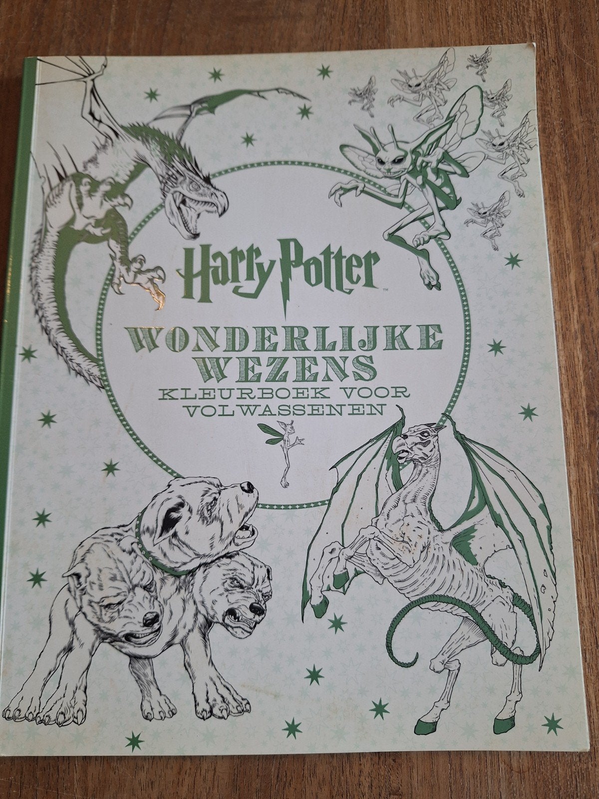 kleurboek voor Volwassenen Harry Potter, Ophalen of Verzenden, Nieuw