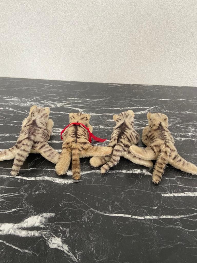 Steiff poezen zonder knop 21 cm, Ophalen of Verzenden
