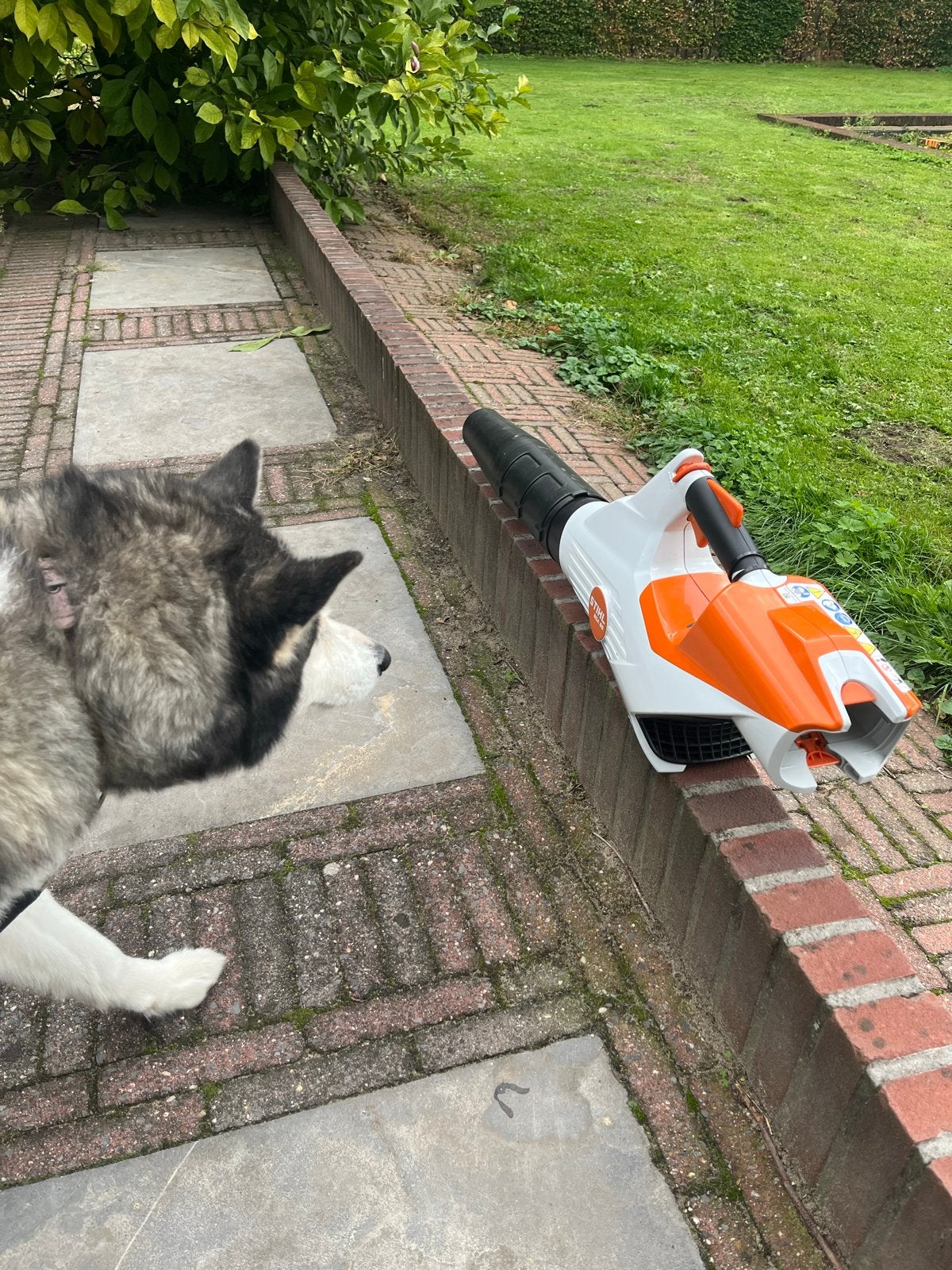 Stihl BGA 86 Bladblazer - AP Accu aangedreven, Ophalen, Zo goed als nieuw, Accu, Handgedragen