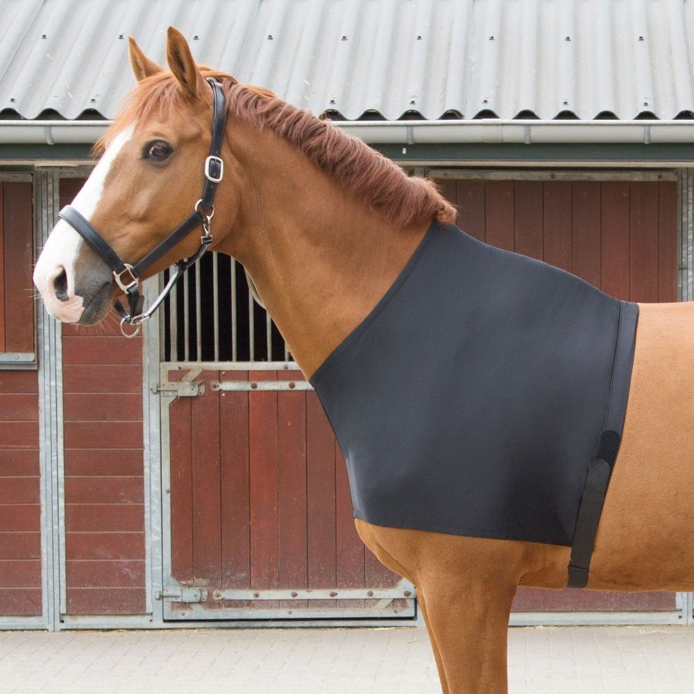 Harry's Horse Borstbeschermer, Schoftbeschermer S, M, L, XL, Schoftbescherming, Nieuw, Ophalen of Verzenden, Harry's Horse