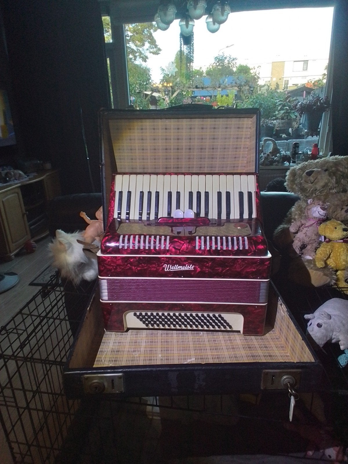 Mooie Weltmeister accordeon 96 bas met koffer en riemen, Muziek en Instrumenten, Gebruikt, Met koffer, Ophalen of Verzenden, 96-bas