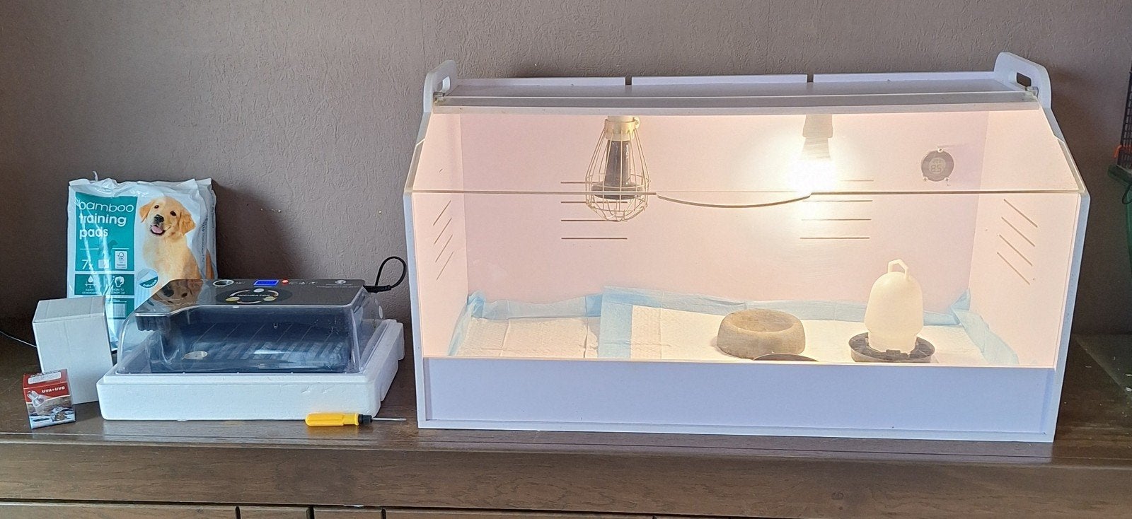 Fijne broedmachine en couveuse complete set ook voor reptiel, Ophalen, Zo goed als nieuw, Broedmachine