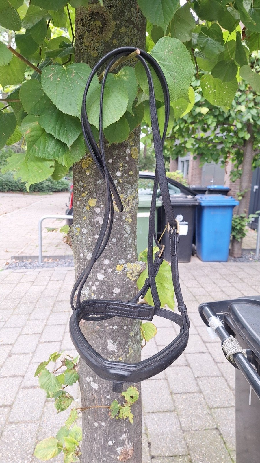 Hoofdstel onderdelen, Dieren en Toebehoren, Paarden en Pony's | Hoofdstellen en Tuigage, Ophalen
