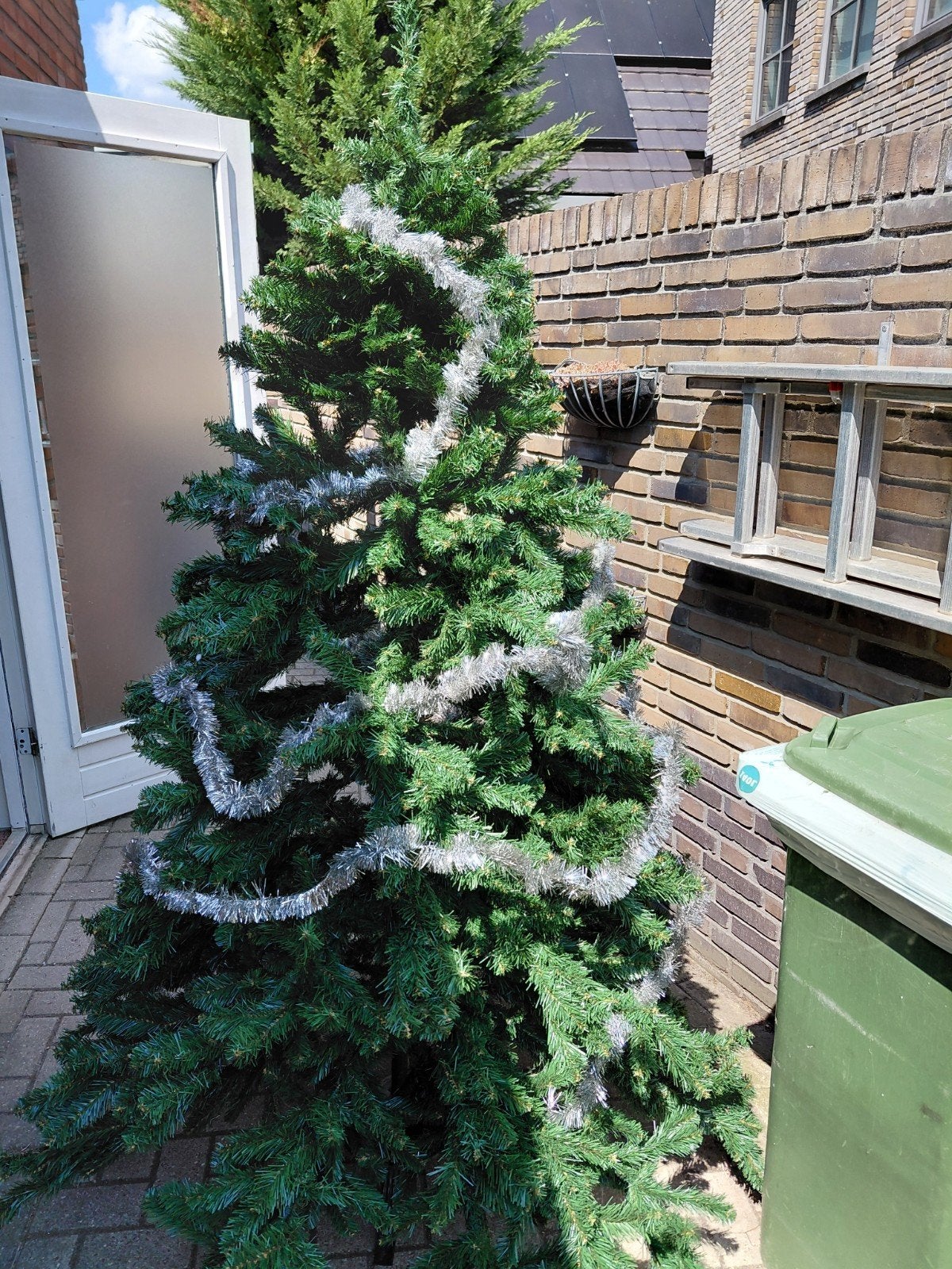 kerstboom triumph tree, Diversen, Ophalen