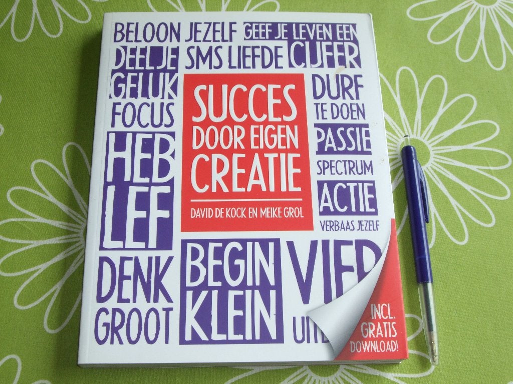 Succes door eigen creatie - David de Kock en Meike Grol, Ophalen of Verzenden, Zo goed als nieuw, David de Kock en Meike Grol