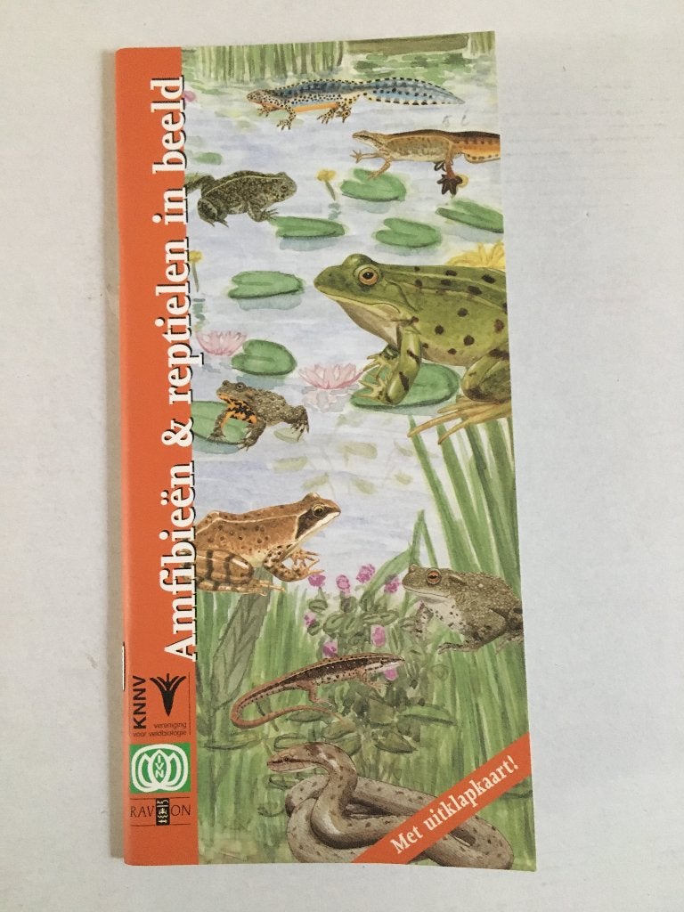 Amfibieën en reptielen in beeld, Boeken, Ophalen of Verzenden, Nieuw, Natuur algemeen