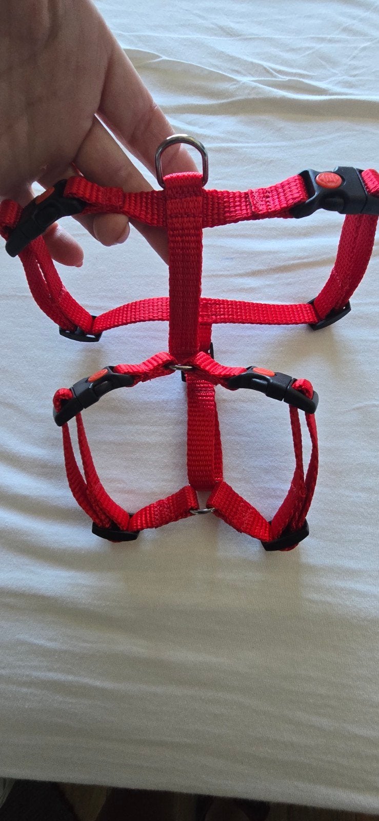 Anny X tuig.   Y tuig kleur rood Maat XS.   Nieuw!!, Ophalen of Verzenden, Nieuw