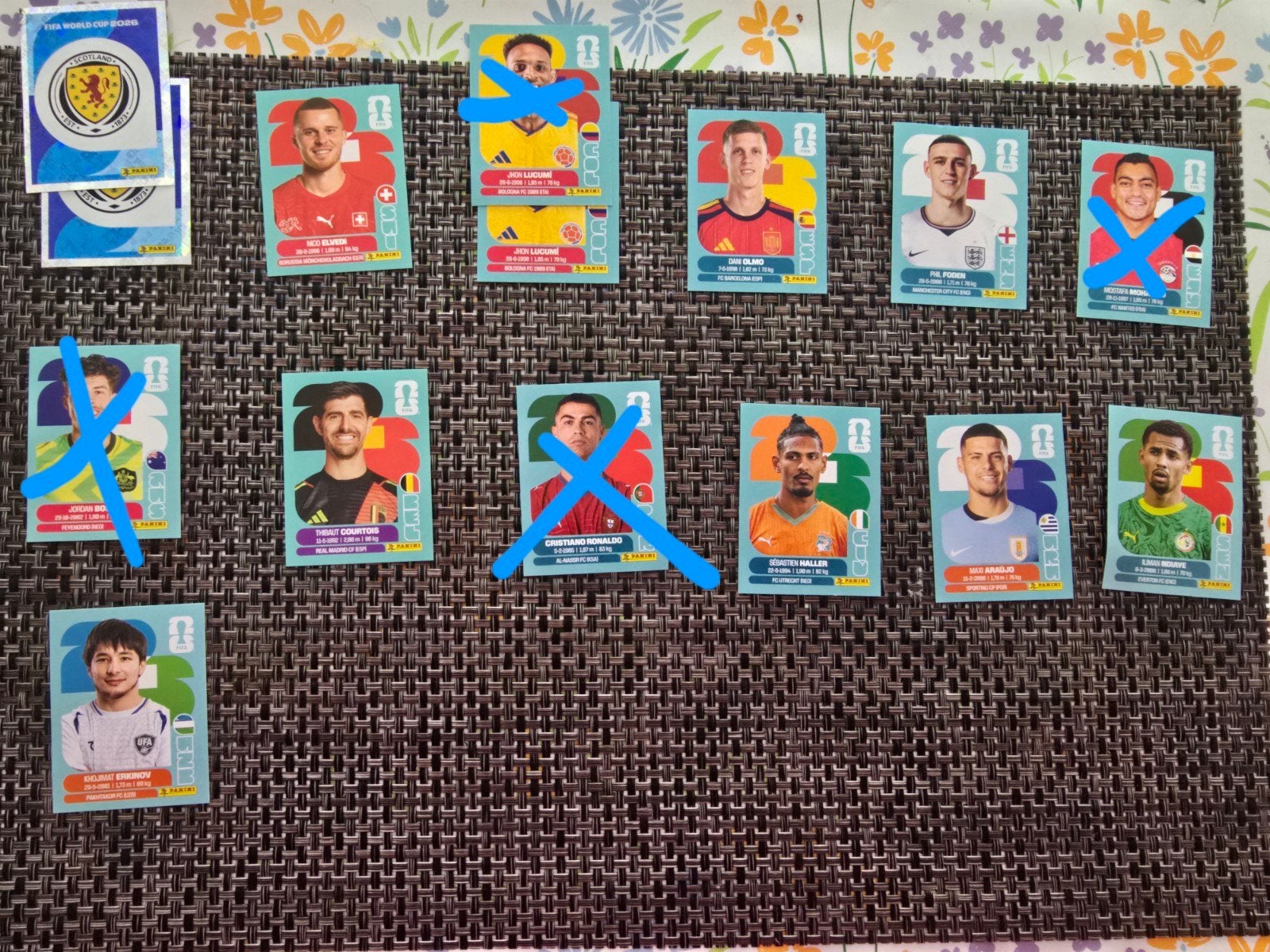 Panini WC sticker swap, Ophalen of Verzenden