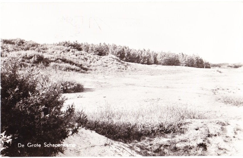 Overveen Kennemerduinen Oude Gelopen Ansichtkaart (B1805, Ophalen of Verzenden, 1940 tot 1960, Gelopen