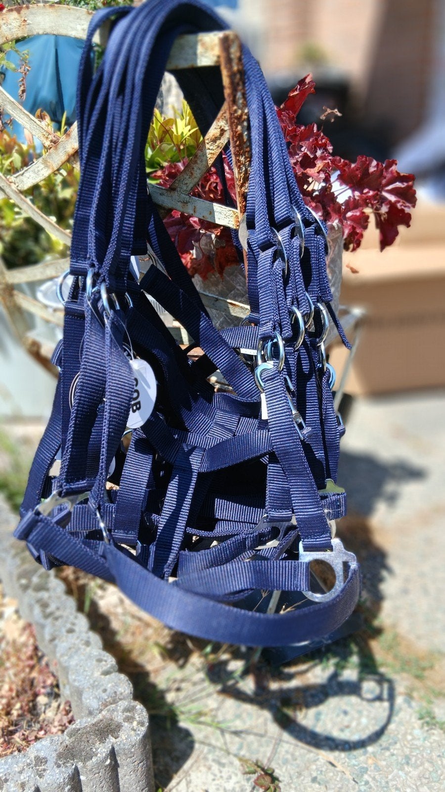 10 nylon halsters navy mt Cob Nieuw, Dieren en Toebehoren, Ophalen of Verzenden, Nieuw, Recreatie