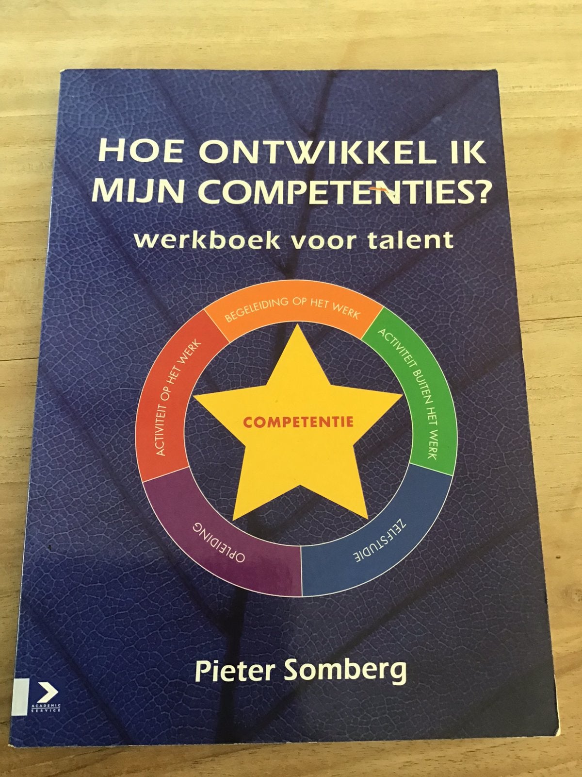 P. Somberg - Hoe ontwikkel ik mijn competenties?, Ophalen of Verzenden, Zo goed als nieuw, P. Somberg