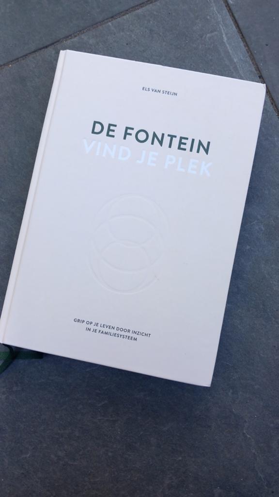 De Fontein: Vind je plek - Els van Steijn, Ophalen of Verzenden, Gelezen, Els van Steijn