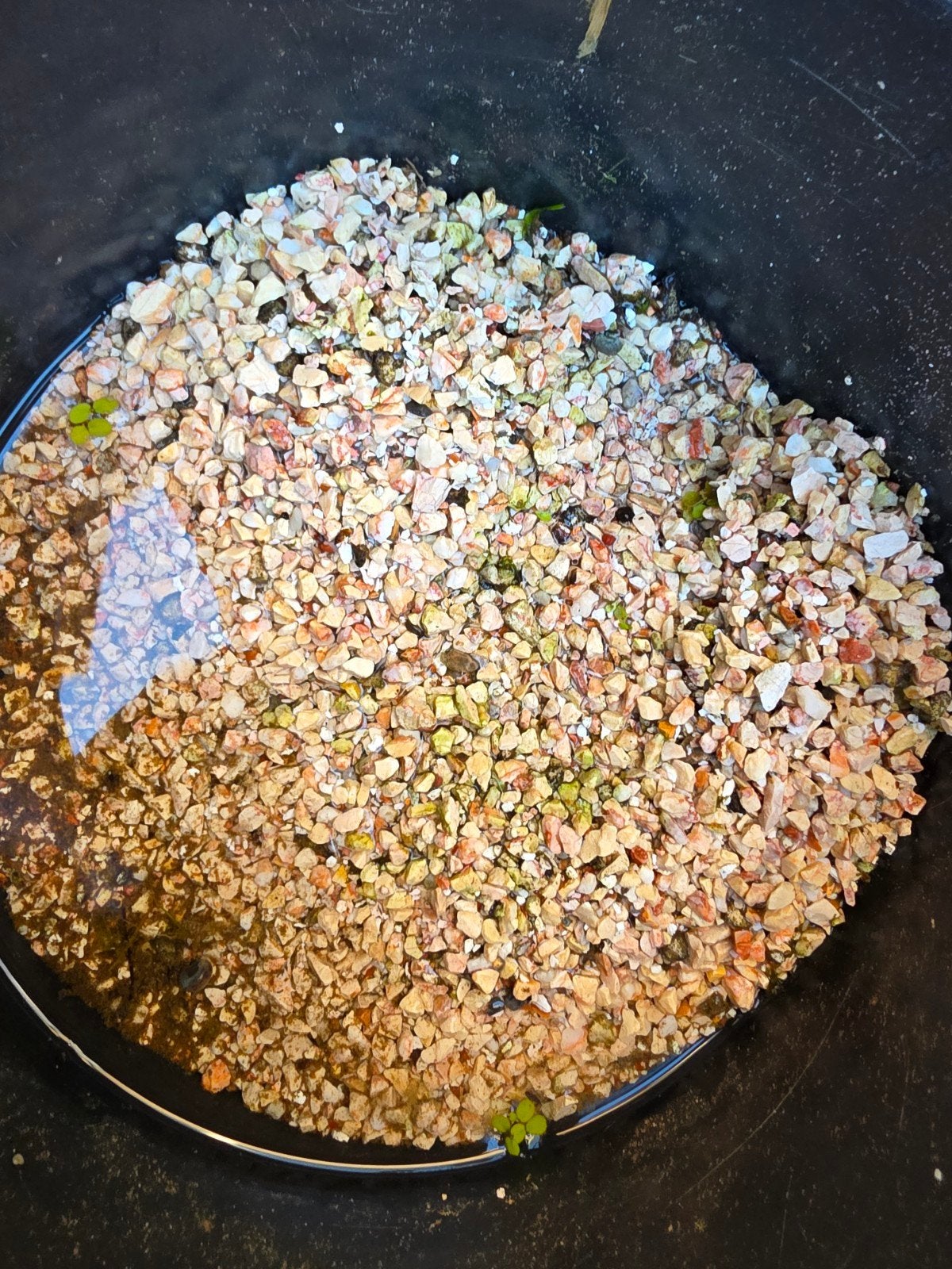 aquarium grind, bodemmateriaal, Dieren en Toebehoren, Ophalen, Gebruikt, Leeg aquarium