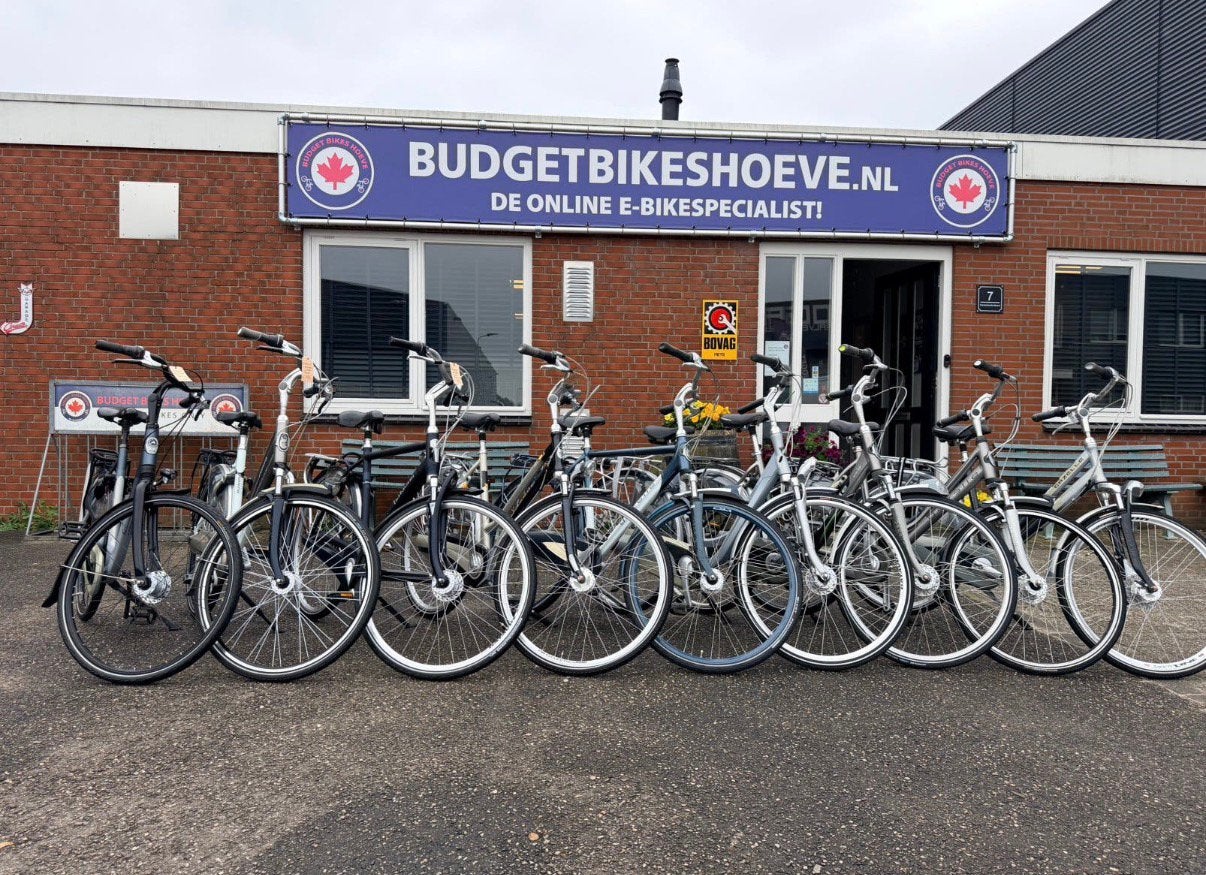 Ruime keuze Gazelle stadsfietsen Nexus 7-8 v.a €195,-, Fietsen en Brommers, Fietsen | Dames | Damesfietsen, Overige merken, 53 tot 56 cm