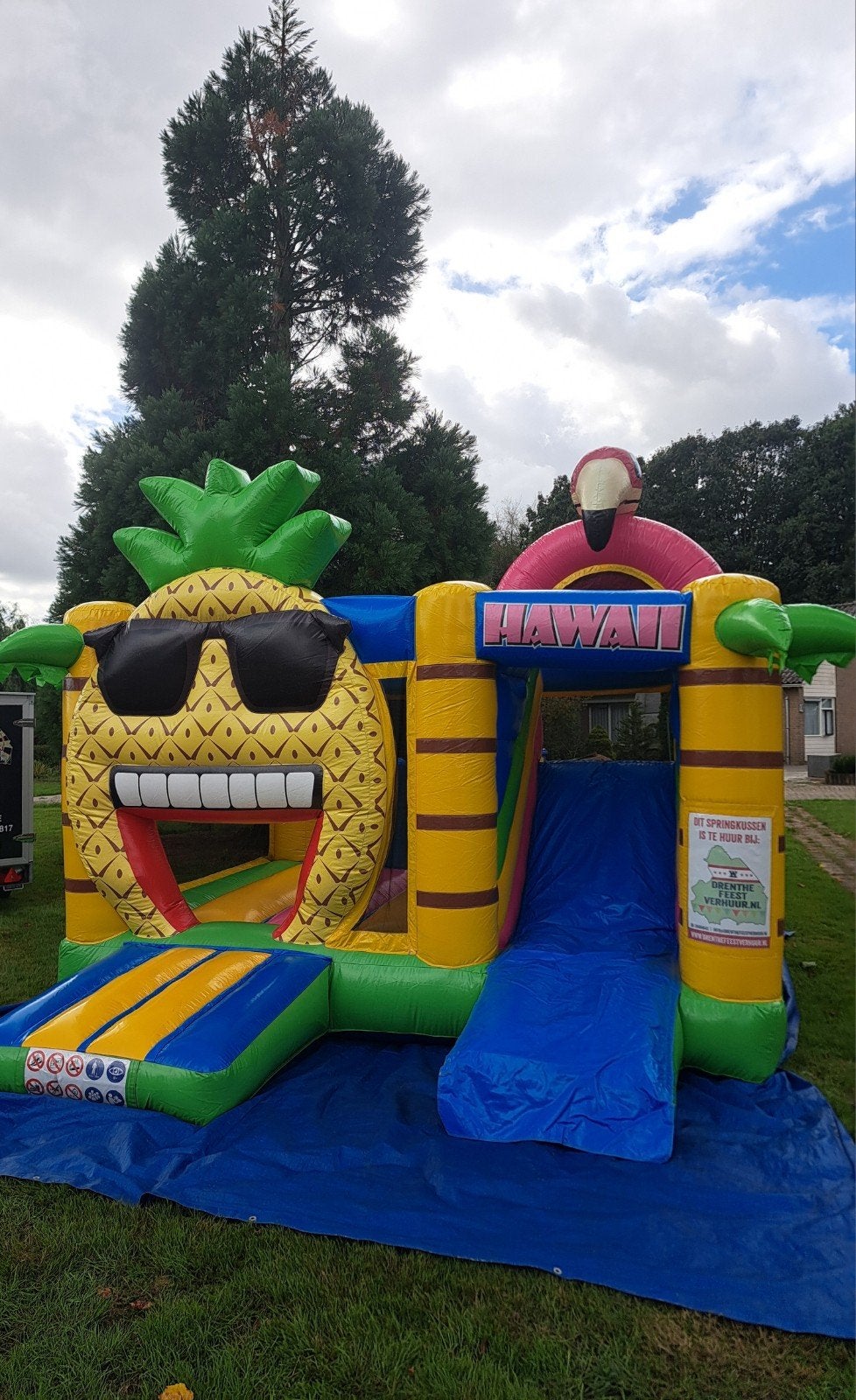 Te koop: springkussen Ananas met glijbaan!, Ophalen, Zo goed als nieuw