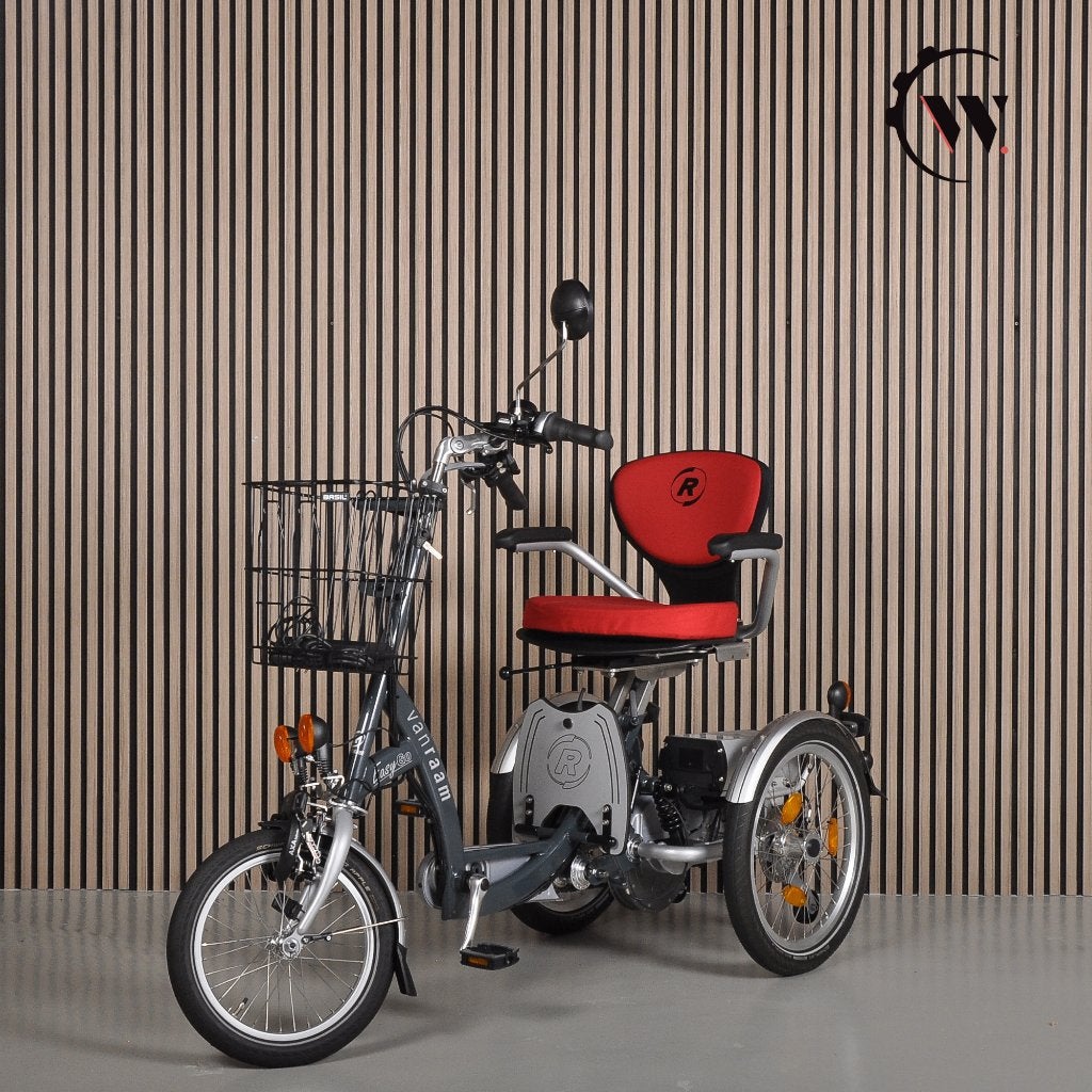 Van Raam Easy Go Scootmobiel-Driewielfiets in één, Fietsen en Brommers, Ophalen, Gebruikt, Schijfrem, Van Raam