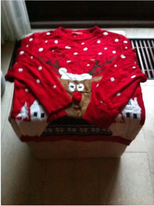 Heren/Dames trui rood Primark Large Kerst, Primark, Maat 42/44 (L), Ophalen of Verzenden, Zo goed als nieuw