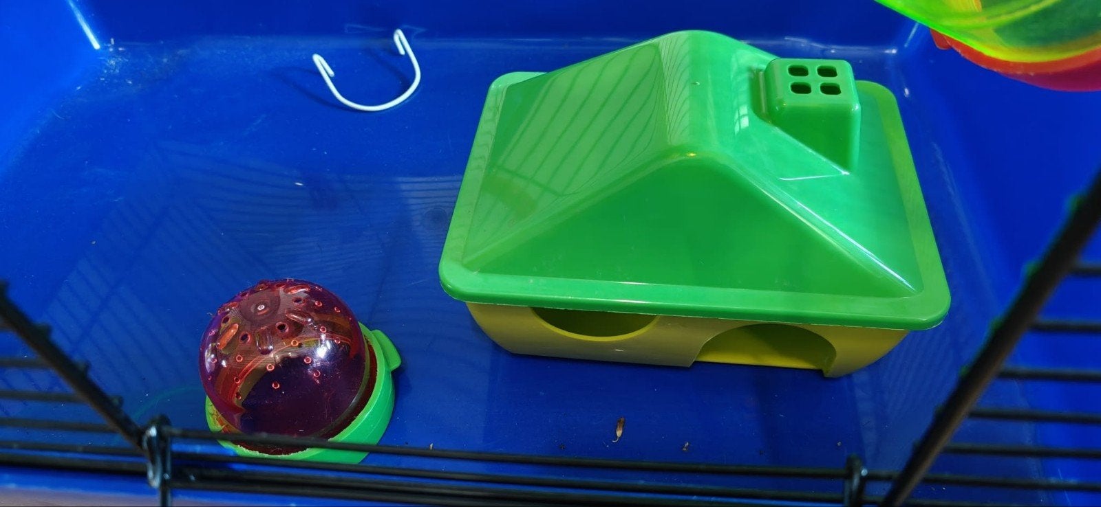 Knaagdier kooi Beeztees labyrint 50x28x25, Kooi, Minder dan 75 cm, Zo goed als nieuw, Hamster