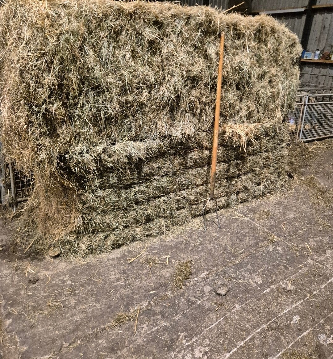 grote pakken hooi, Dieren en Toebehoren, Ophalen of Verzenden