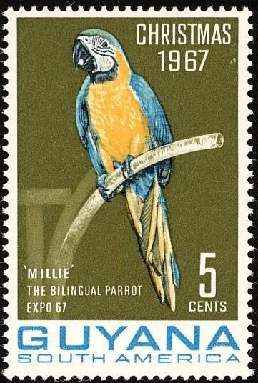 GUYANA 63 - Dieren: vogels (papegaai), Verzenden, Postfris, Dier of Natuur