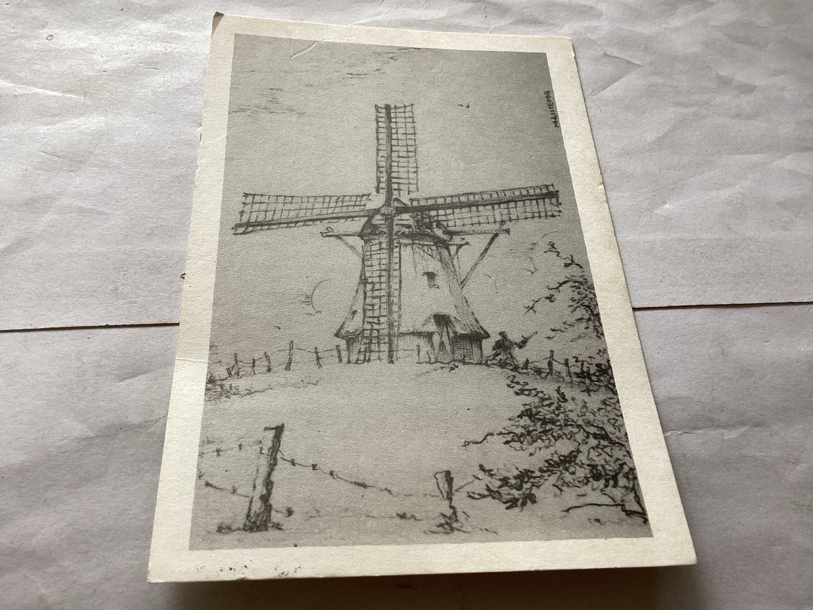 De Phoenix molen Nes Ameland, Ophalen of Verzenden, 1960 tot 1980, Gelopen, Friesland